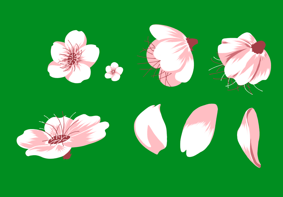 sakura-blossom-brushparts